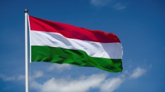 Image result for hungary flag